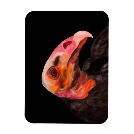 Savannah Vulture Magneet (Verticaal)