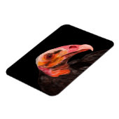 Savannah Vulture Magneet (Linkerzijde)