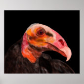 Savannah Vulture Poster (Voorkant)