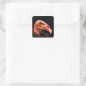 Savannah Vulture Vierkante Sticker (Tas)