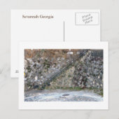 Savannah Wall Briefkaart (Voorkant / Achterkant)