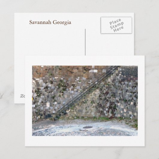 Savannah Wall Briefkaart (Voorkant / Achterkant)