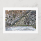 Savannah Wall Briefkaart (Voorkant)