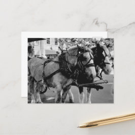 Savannah Working Horses Briefkaart