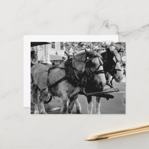 Savannah Working Horses Briefkaart