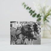 Savannah Working Horses Briefkaart (Staand voorkant)