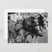 Savannah Working Horses Briefkaart (Voorkant / Achterkant)