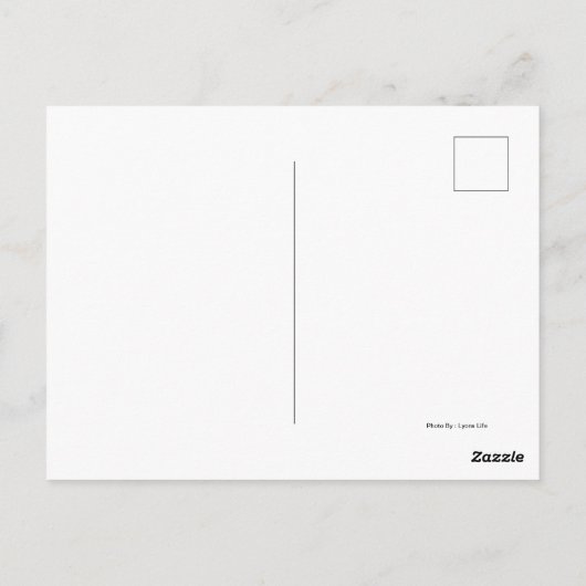 Savannah Working Horses Briefkaart (Achterkant)