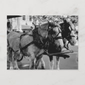 Savannah Working Horses Briefkaart (Voorkant)