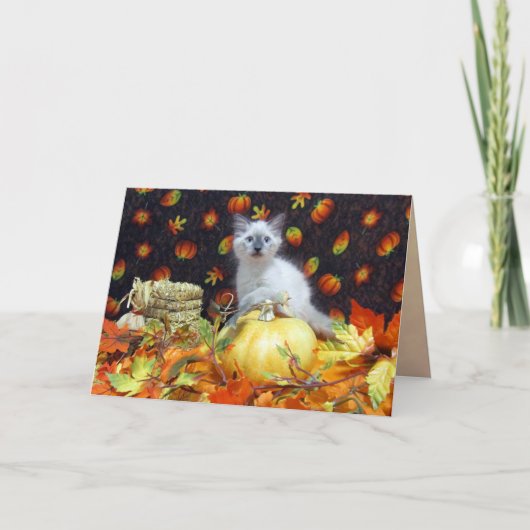 Savannah's (Cat / Kitten) Herfst / Thanksgiving Ka Feestdagen Kaart (Voorkant)
