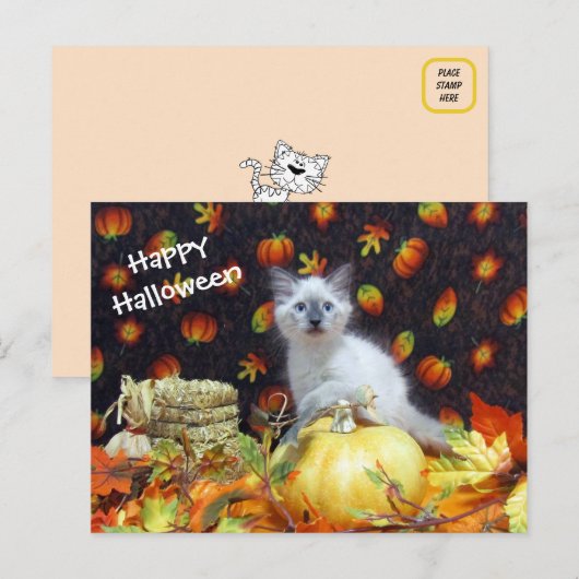 Savannah's Halloween Briefkaart - Siamese kat foto (Voorkant / Achterkant)