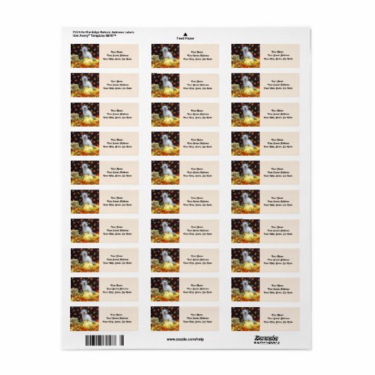 Savannah's Herfst Adresetiketten - Cute Cat Etiket (Full Sheet)