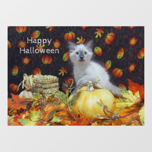 Savannah's Herfst / Autumn / Halloween Cat Party Raamsticker (Vel)