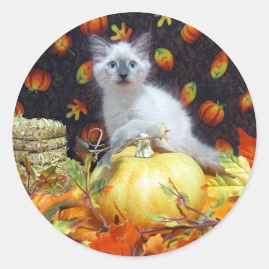 Savannah's Herfst / Najaar / Halloween Kat Sticker (Voorkant)
