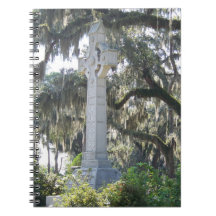 Savannah's Keltische Kruis