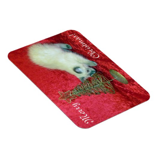 Savannah's kerstnet - Cat / Kitten Magneet (Rechterzijde)