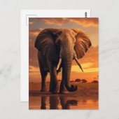 Savannahs Majesteit Briefkaart (Voorkant / Achterkant)