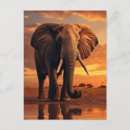 Savannahs Majesteit Briefkaart