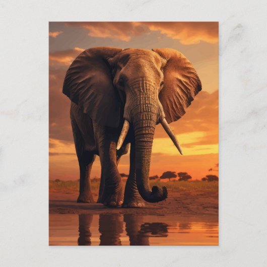 Savannahs Majesteit Briefkaart (Voorkant)