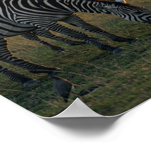 Savanne Stripes Stilte Poster (Hoek)