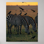 Savanne Stripes Stilte Poster (Voorkant)