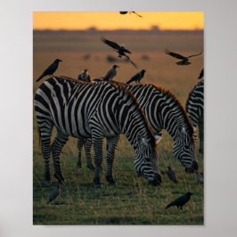 Savanne Stripes Stilte Poster