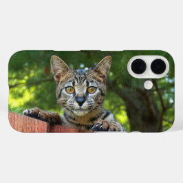 Savannekat Huisje voor Telefoon iPhone 16 Hoesje