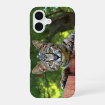 Savannekat Huisje voor Telefoon