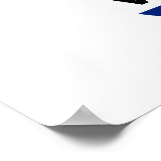 Save Democracy Poster (Hoek)