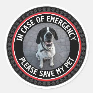 SAVE MY PET Safety Alert Custom Photo Modern  Ronde Sticker