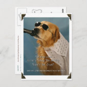 Save Off-Leash Dog Walking Congreslid Pelosi Briefkaart (Voorkant / Achterkant)