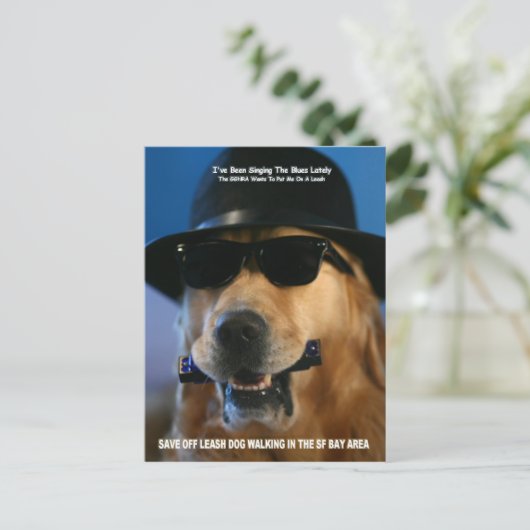 Save Off-Leash Dog Walking Congreslid Pelosi Briefkaart (Staand voorkant)