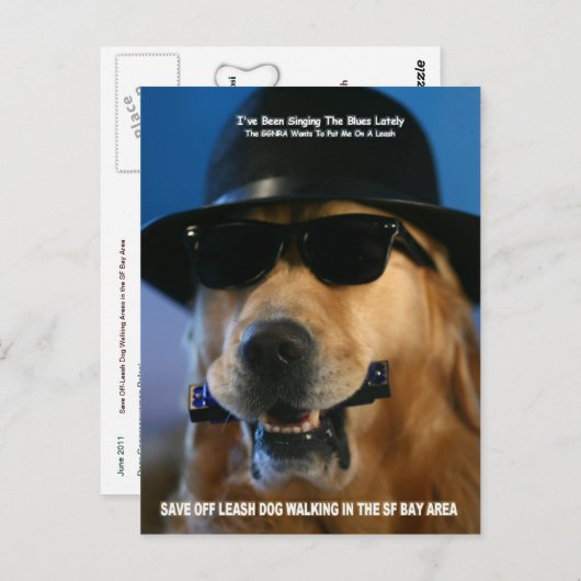 Save Off-Leash Dog Walking Congreslid Pelosi Briefkaart (Voorkant / Achterkant)