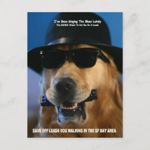 Save Off-Leash Dog Walking Congreslid Pelosi Briefkaart