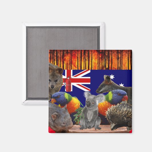 Save Our Homes - Extinguish Magneet (Voorkant / Achterkant)