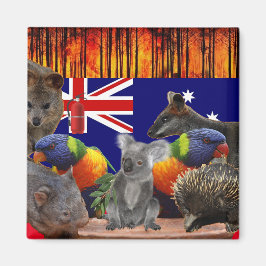 Save Our Homes - Extinguish Magneet