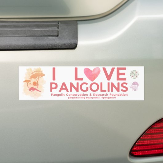 SAVE PANGOLINS Speciale editie Bumpersticker (Op auto)