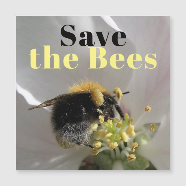 Save the Bees Bumble Bee Foto Magnetische Kaart (Voorkant)