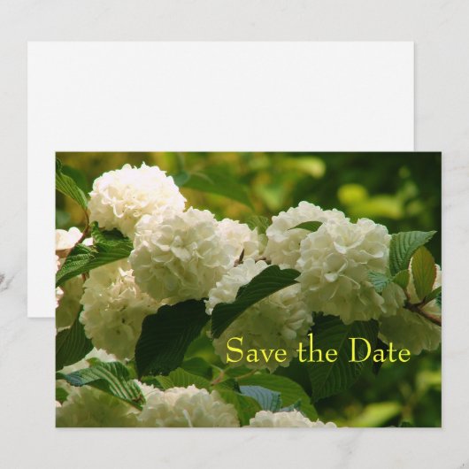 Save the Date (Voorkant / Achterkant)