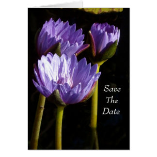 Save the date