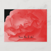 Save the Date 10th Jubileum Party Koraal Roos Aankondigingskaart (Voorkant)
