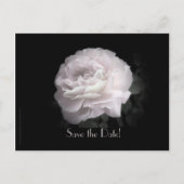 Save the Date 60th Anniversary Party Elegant Rose Aankondigingskaart (Voorkant)