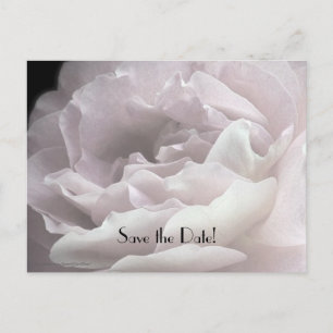 Save the Date 95th Birthday Party Petals Briefkaar Aankondigingskaart