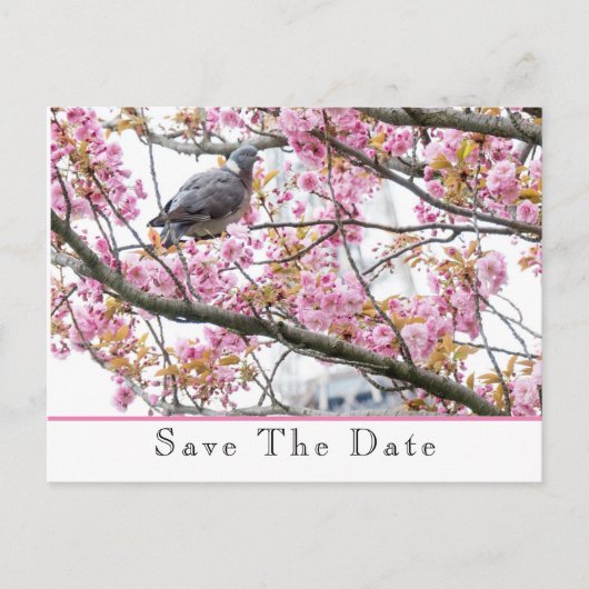Save The Date Aankondiging Briefkaart (Voorkant)