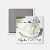 Save the Date Aankondiging White Rose Magnet (Voorkant / Achterkant)