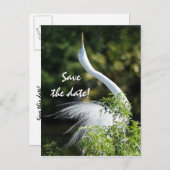 Save the date! aankondigingskaart (Voorkant / Achterkant)