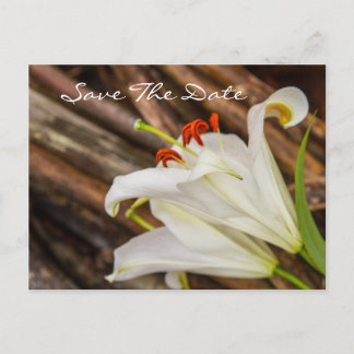 Save The Date-ansichtkaart Briefkaart