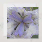 Save the Date Blue Iris 5x5 (Achterkant)
