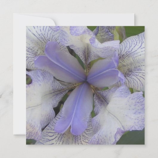 Save the Date Blue Iris 5x5 (Achterkant)