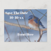 Save The Date Bluebird Nature Personalized Aankondigingskaart (Voorkant)